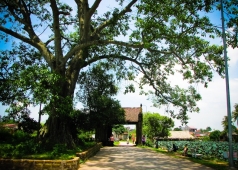 làng cổ đường lâm