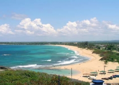 biển trà cổ