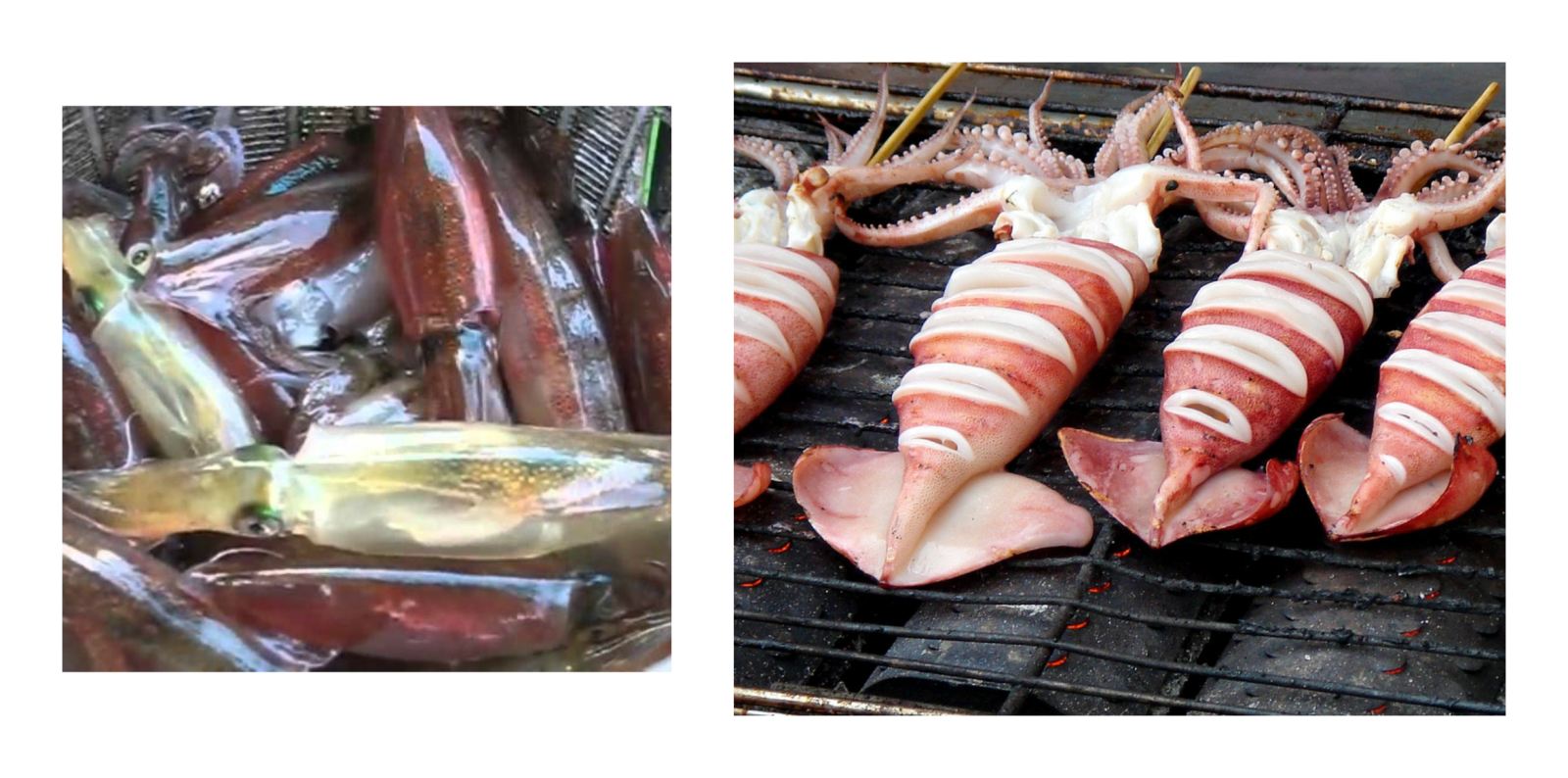 Biển Cửa Lò Nghệ An