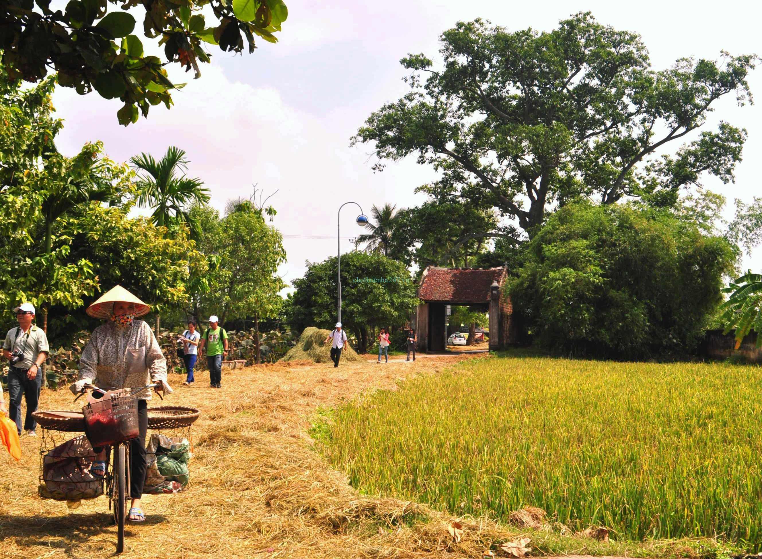 du lịch Hà Nội