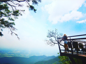 quan-gio-tam-dao-apro5