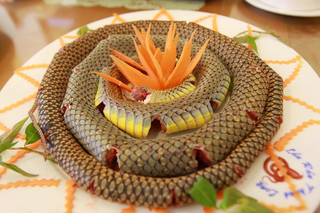 Rắn biển Cát Bà