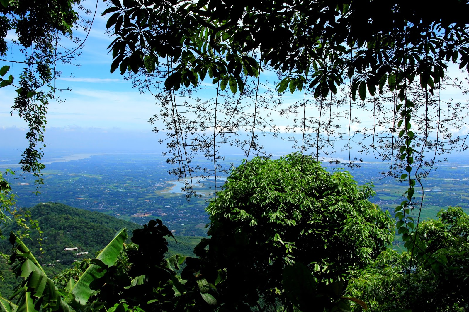 rung-quoc-gia-ba-vi-2-9