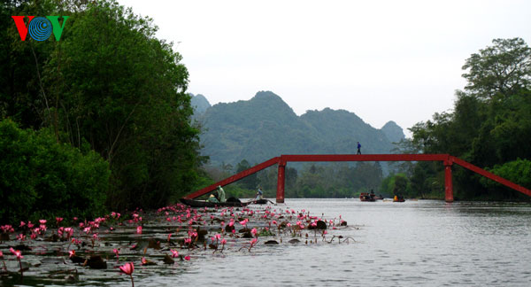 Suối Yến du lịch Chùa Hương 1 ngày