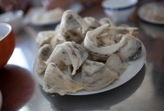 yen-sao-nha-trang