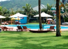 bãi lữ
