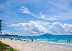 biển trà cổ