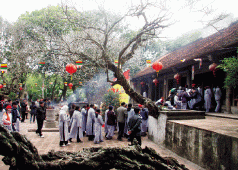 côn sơn kiếp bạc