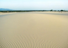 đồi cát trắng quảng bình