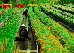 làng hoa sa đéc đồng tháp