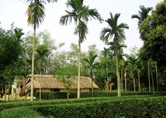 Làng sen quê Bác