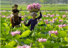 mùa nước nổi miền tây