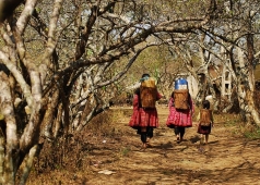 bản tả phìn sapa