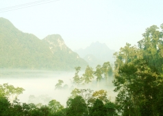 vườn quốc gia xuân sơn phú thọ