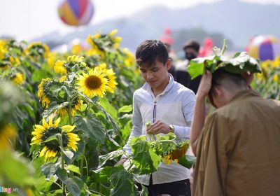 PHƯỢT trở thành “TRÀO LƯU” của những kẻ “HAM CHƠI” và “LƯỜI LÀM”