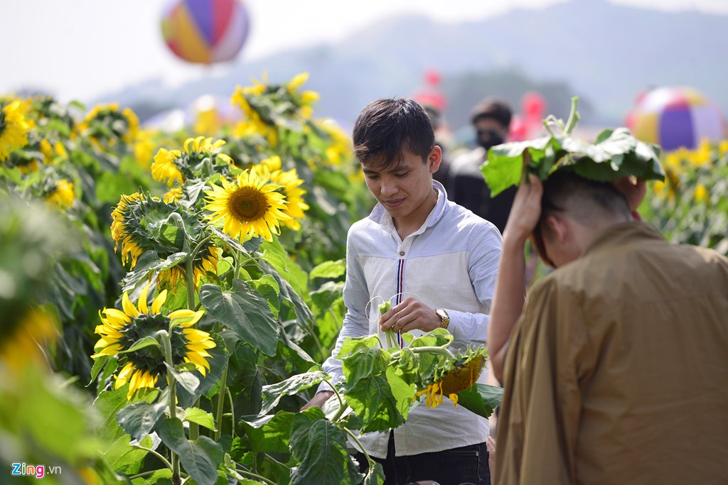 PHƯỢT trở thành “TRÀO LƯU” của những kẻ “HAM CHƠI” và “LƯỜI LÀM”