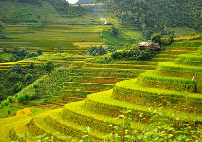 Lịch Trình Khám Phá Tây Bắc 5 ngày Với Chi Phí Cực Tiết Kiệm