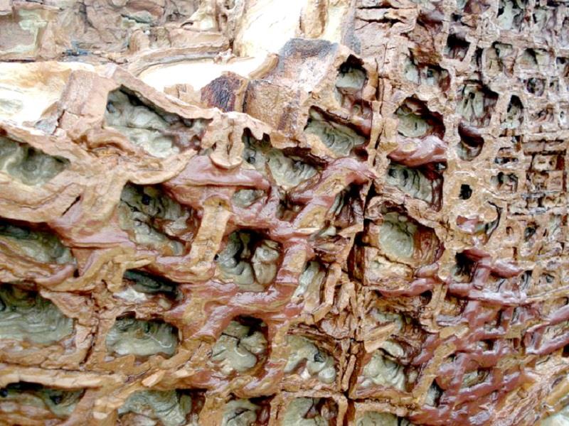 Thanh Socola tại Cô Tô bạn đã khám phá ra?