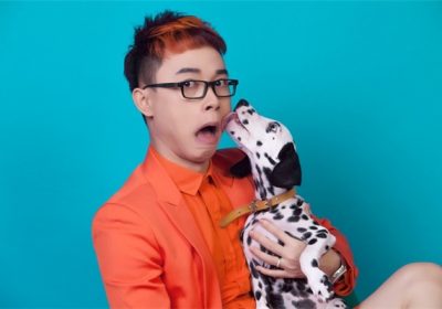 Giải thích thông điệp của chú chó Khi nó liếm mặt người