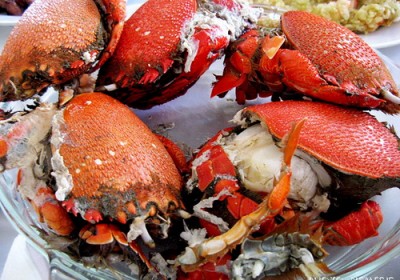 Đặc sản Nha Trang – du lịch Nha Trang và những trải nhiệm thú vị