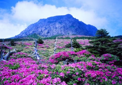 Những điểm tham quan nổi tiếng trên đảo Jeju Hàn Quốc