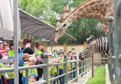 Điểm du lịch gần Hà Nội- Tour du lịch thiên đường Bảo Sơn dành cho học sinh