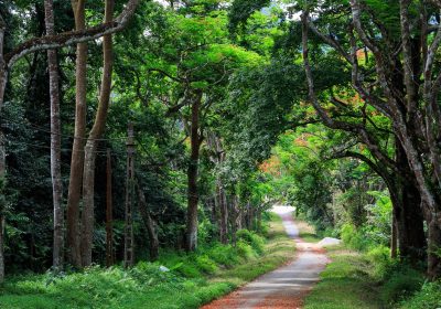 Du lịch Ba Vì điểm đến hấp dẫn gần Hà Nội