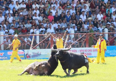 Cẩm nang du lịch Đồ Sơn 2017