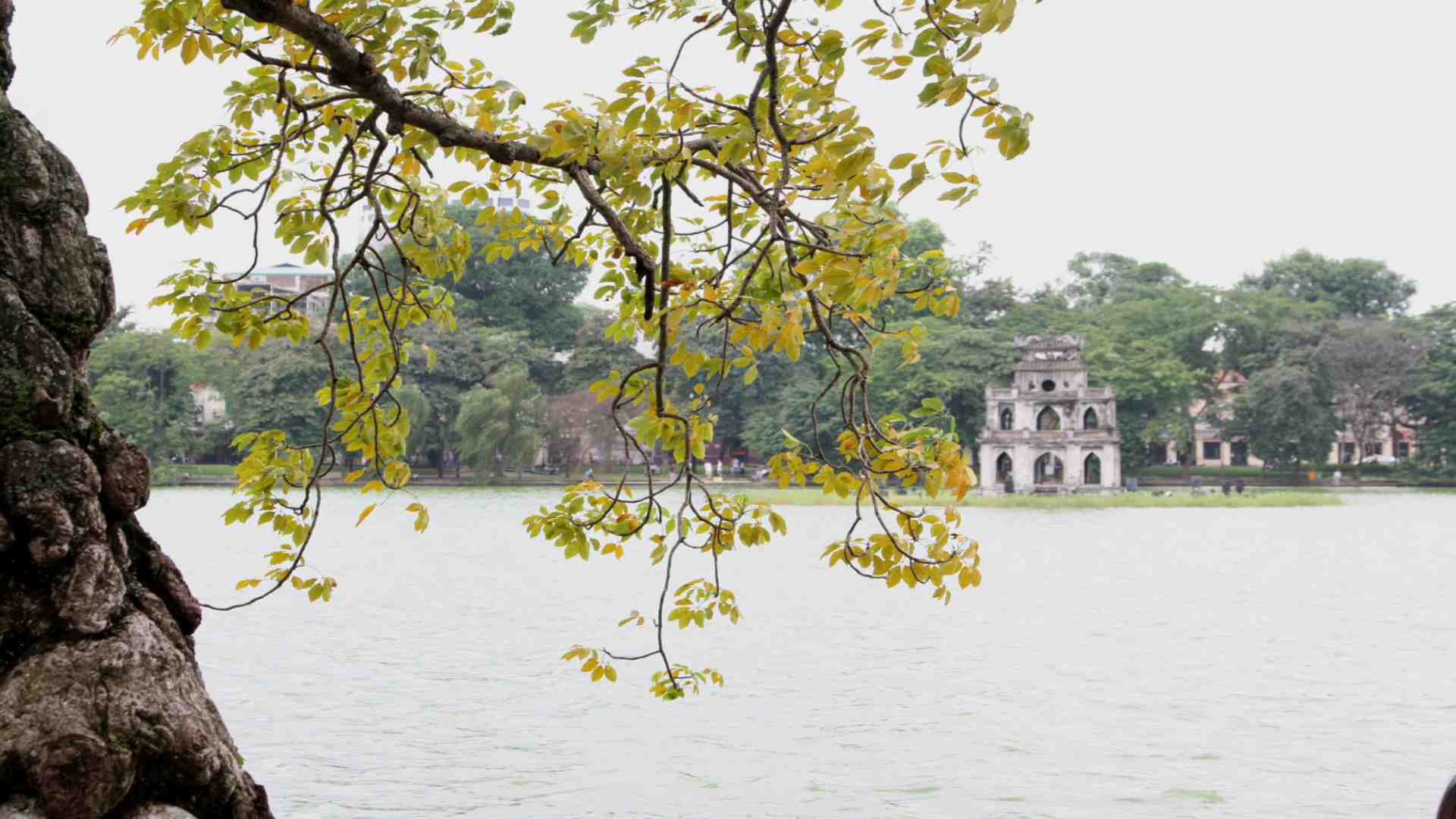 Tour du lịch tham quan thủ đô Hà Nội 1 ngày giá rẻ, chất lượng cao