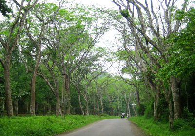 Lịch trình du lịch Ninh Bình, vườn quốc gia Cúc Phương 2 ngày 1 đêm