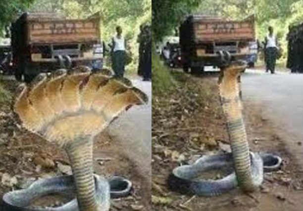 Những bức ảnh Photoshop thần thánh lan truyền chóng mặt