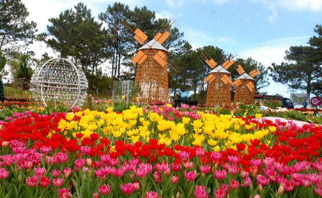 Festival Hoa Đà Lạt lần thứ VII năm 2016