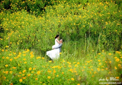Những mùa hoa hấp dẫn nhất ở Việt Nam Những mùa hoa hấp dẫn nhất ở Việt Nam