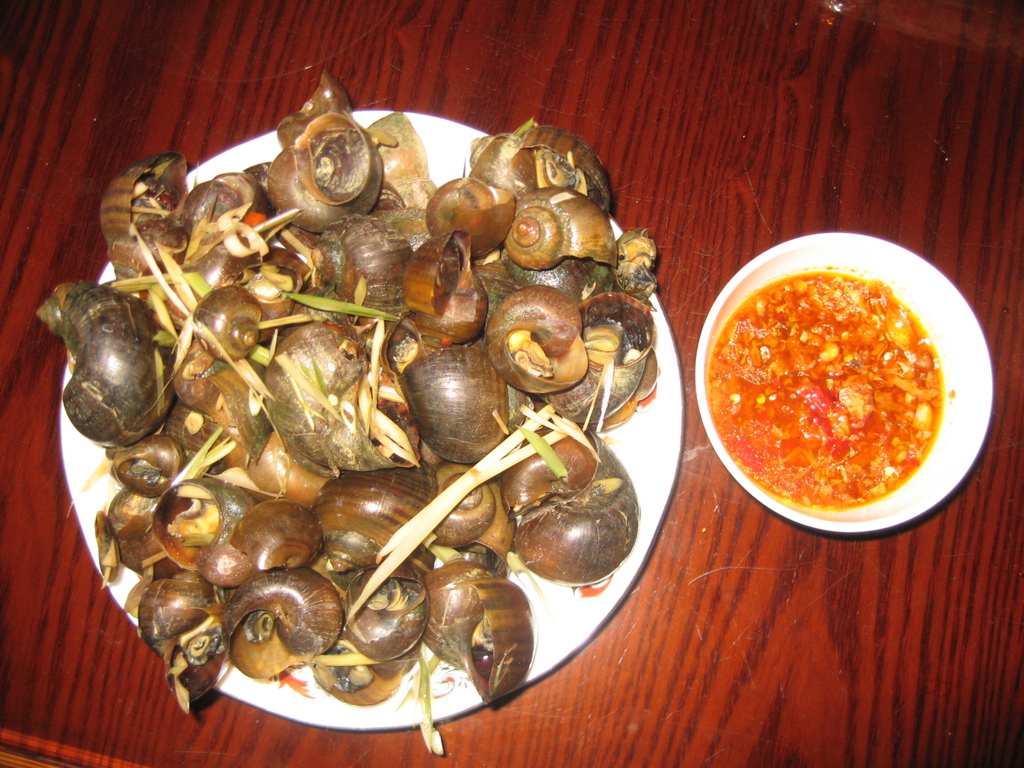 Ốc xào kiểu Cát Bà Hải Phòng đặc sản ẩm thực Cát Bà