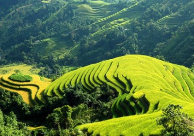 Những địa điểm ngắm ruộng bậc thang vùng cao Những địa điểm ngắm ruộng bậc thang vùng cao