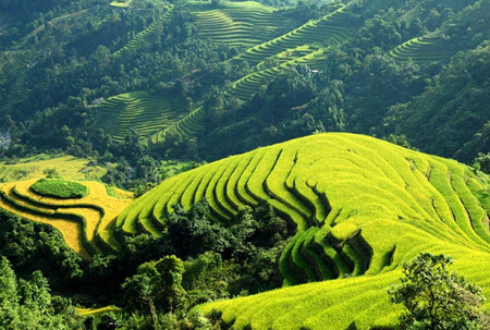 Những địa điểm ngắm ruộng bậc thang vùng cao
