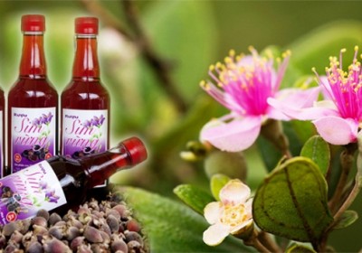 Đặc sản Phú Quốc mua về làm quà du lịch thả ga