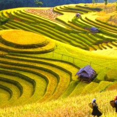 Ấn tượng vẻ đẹp vùng cao Tây Bắc Ấn tượng vẻ đẹp vùng cao Tây Bắc