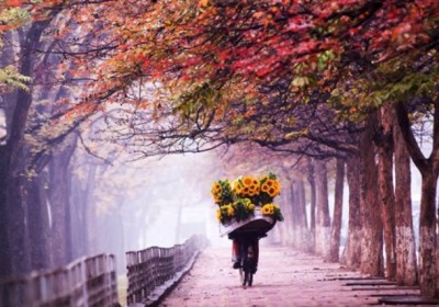 Vẻ đẹp thu Hà Nội