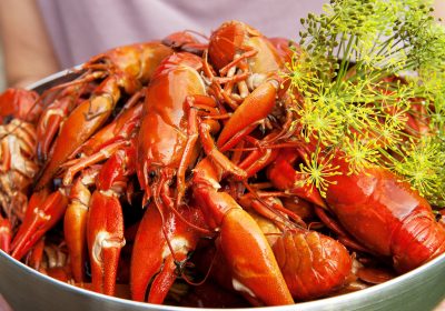 7 món hải sản đệ nhất ẩm thực Cát Bà