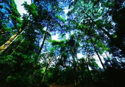 Du lịch Yên Tử nên đi vào thời gian nào?
