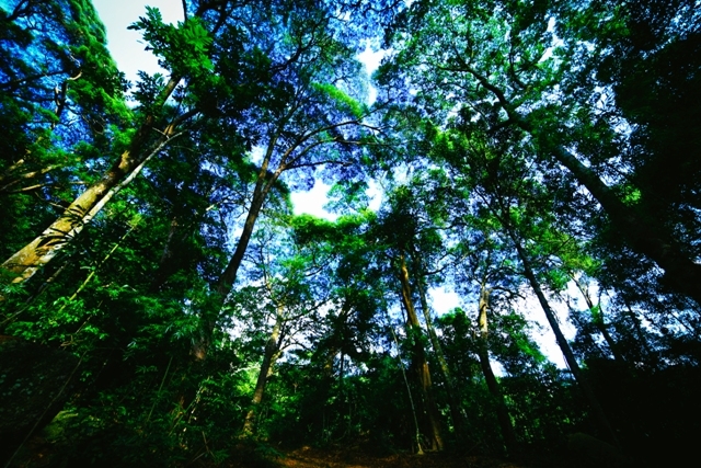 Du lịch Yên Tử nên đi vào thời gian nào?