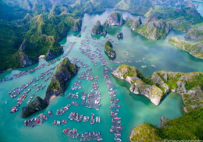 Cẩm nang du lịch Cát Bà tự túc